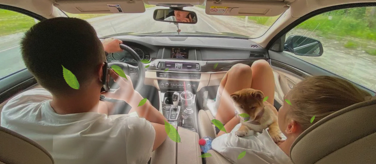 салон автомобиля